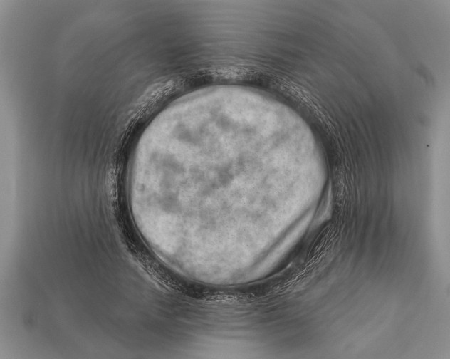 X0000112920738200909211052