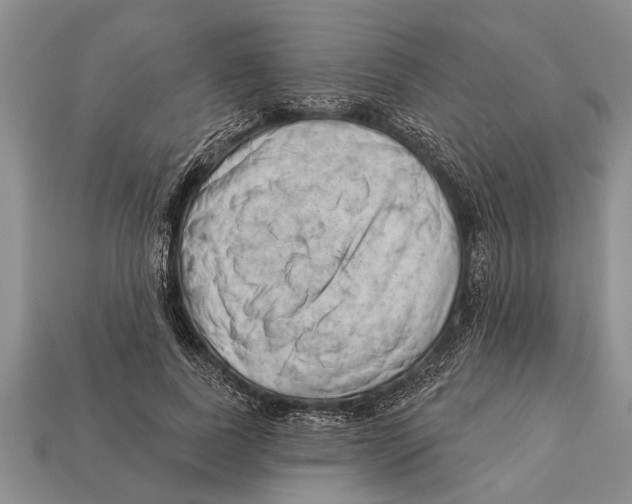 X0000112920739200909211052