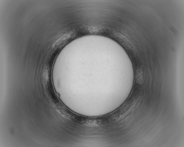 X0000112920740200909211052