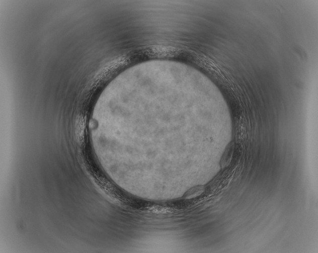 X0000112920742200909211052