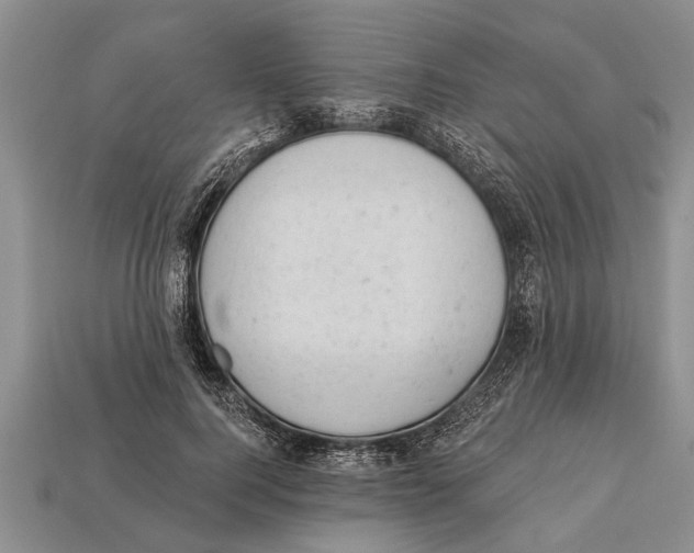 X0000112920744200909211052