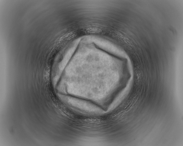 X0000112920745200909211052