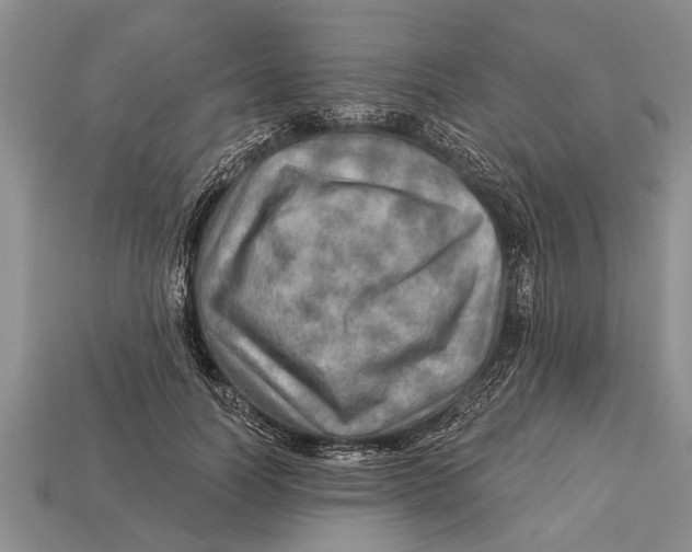 X0000112920746200909211052