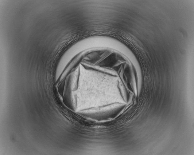 X0000112920748200909211052