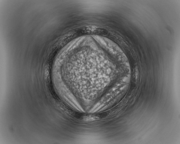 X0000112920754200909211052