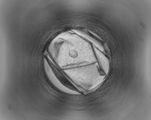 X0000112920756200909211052