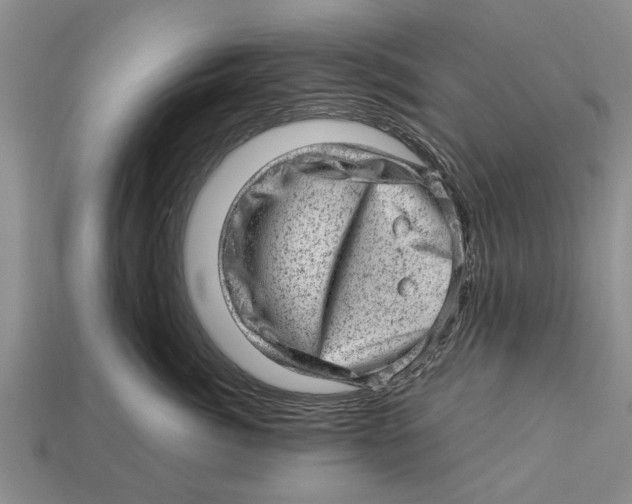 X0000112920764200909211052