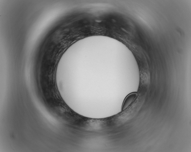 X0000112920766200909211052