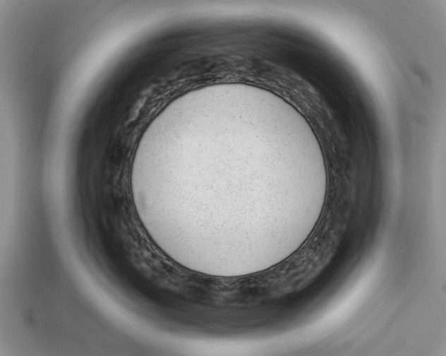 X0000112920767200909211052