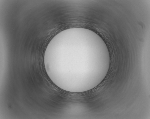 X0000112920768200909211052
