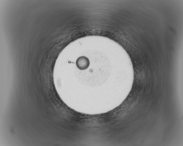 X0000112920769200909211052