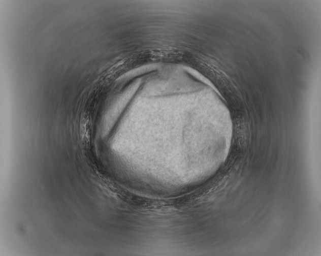 X0000112920770200909211052