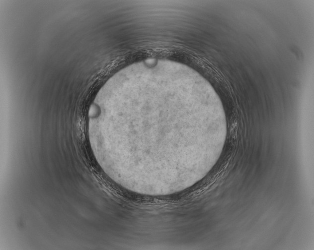 X0000112920772200909211052