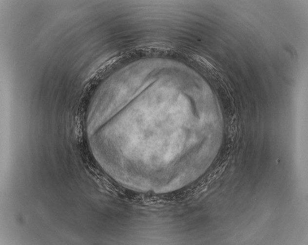 X0000112920774200909211052