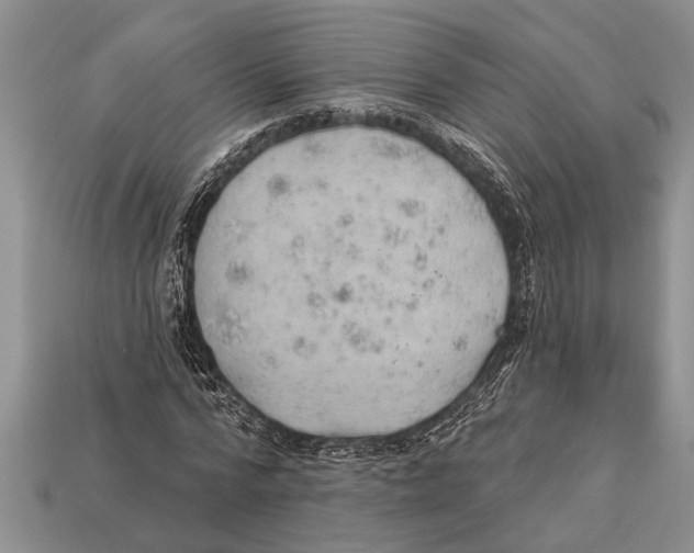 X0000112920776200909211052