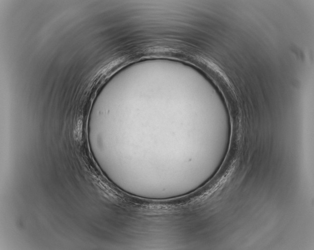 X0000112920777200909211052