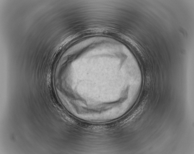 X0000112920778200909211052