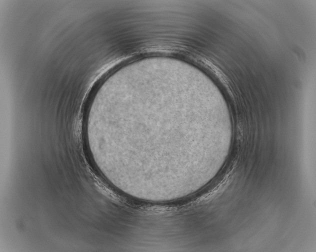 X0000112920779200909211052
