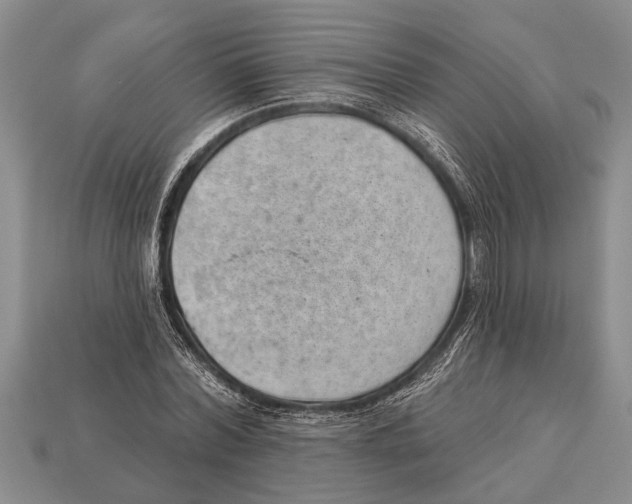 X0000112920780200909211052