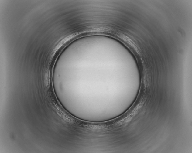 X0000112920781200909211052