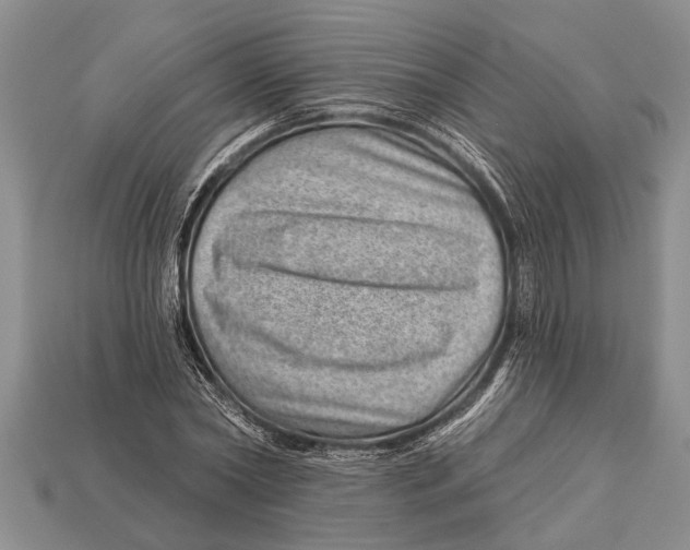 X0000112920782200909211052