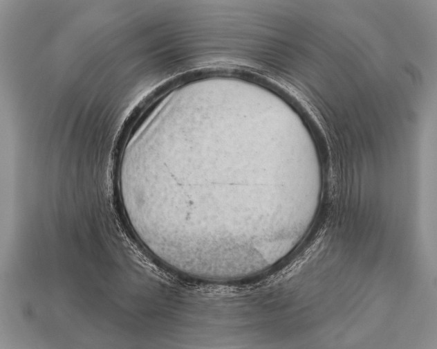 X0000112920783200909211052