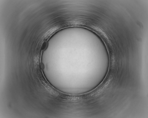 X0000112920785200909211052