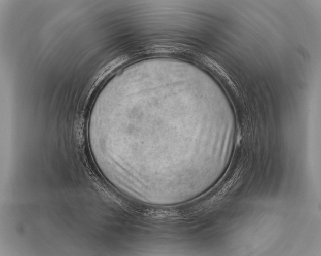 X0000112920786200909211052