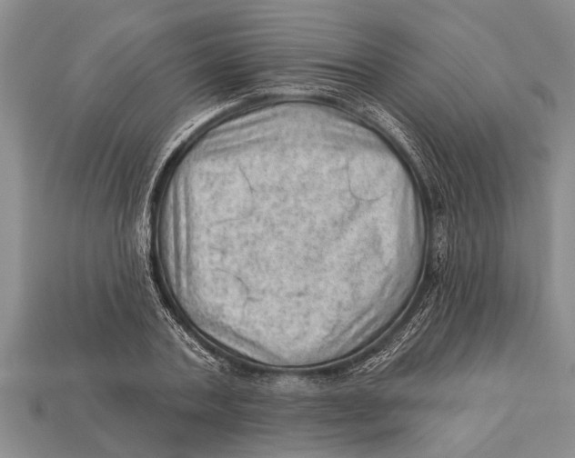 X0000112920787200909211052