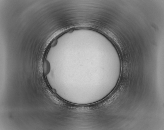 X0000112920789200909211052