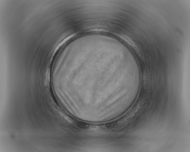 X0000112920790200909211052