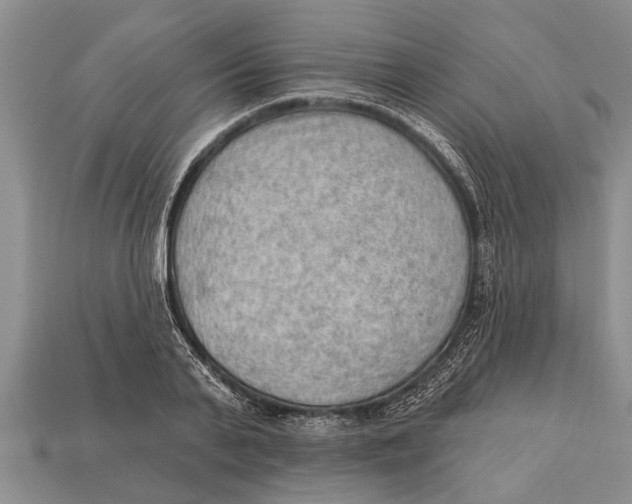 X0000112920791200909211052