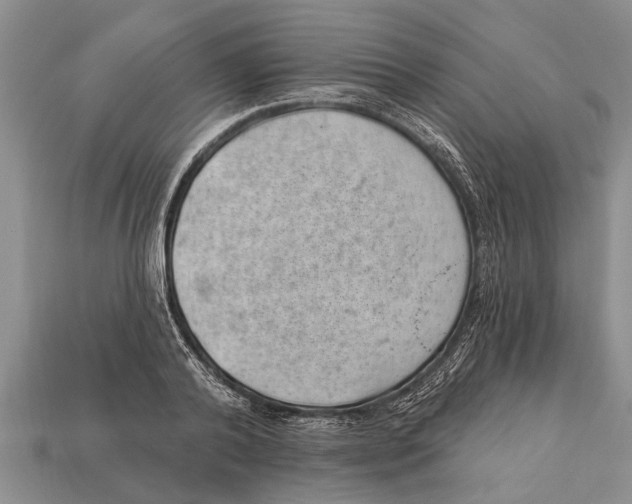 X0000112920792200909211051