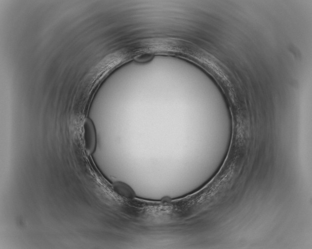 X0000112920793200909211051