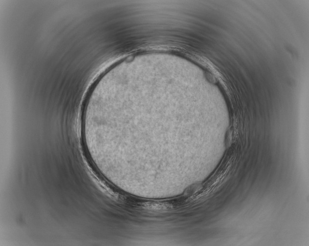 X0000112920795200909211051