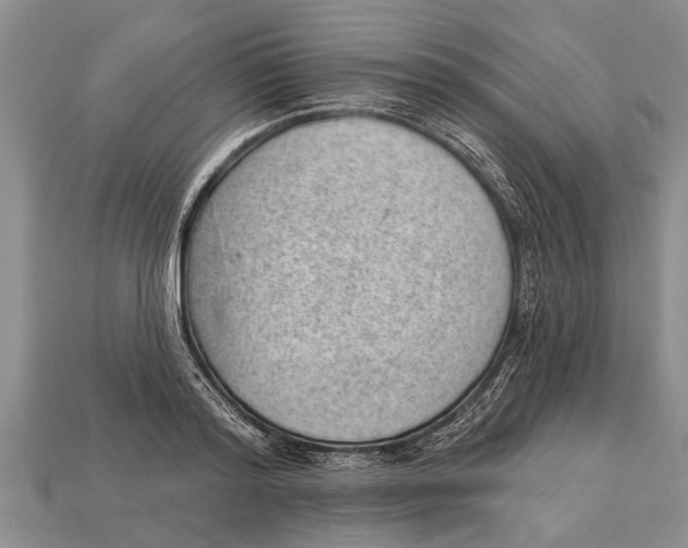 X0000112920796200909211051
