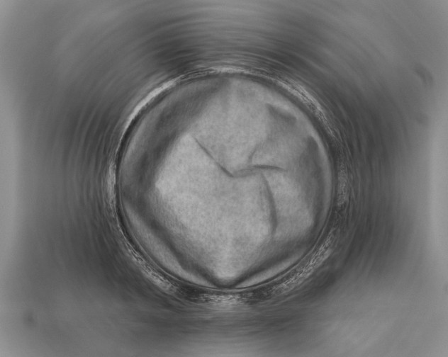 X0000112920798200909211051