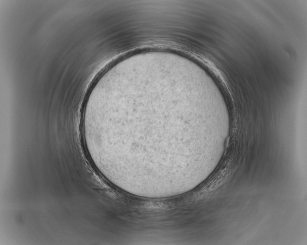 X0000112920799200909211051