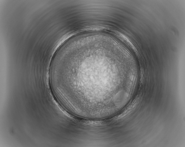 X0000112920802200909211051