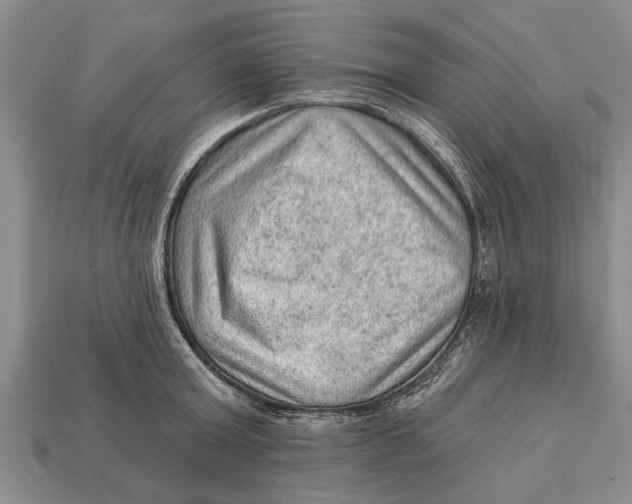 X0000112920803200909211051