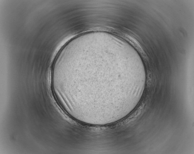X0000112920804200909211051