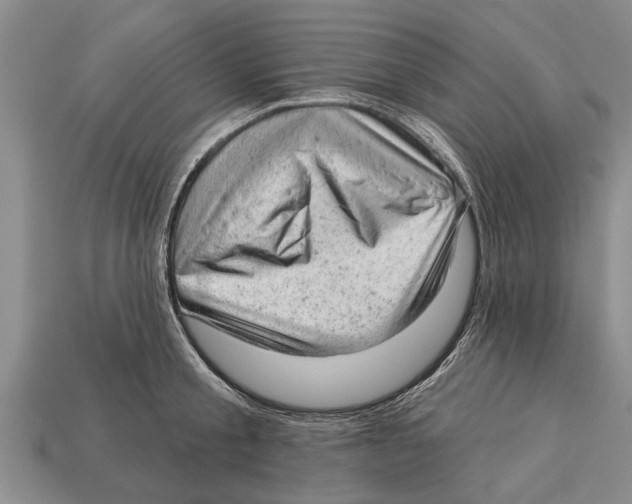 X0000112920805200909211051