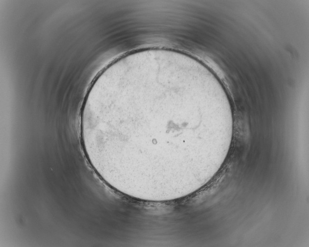 X0000112920807200909211051