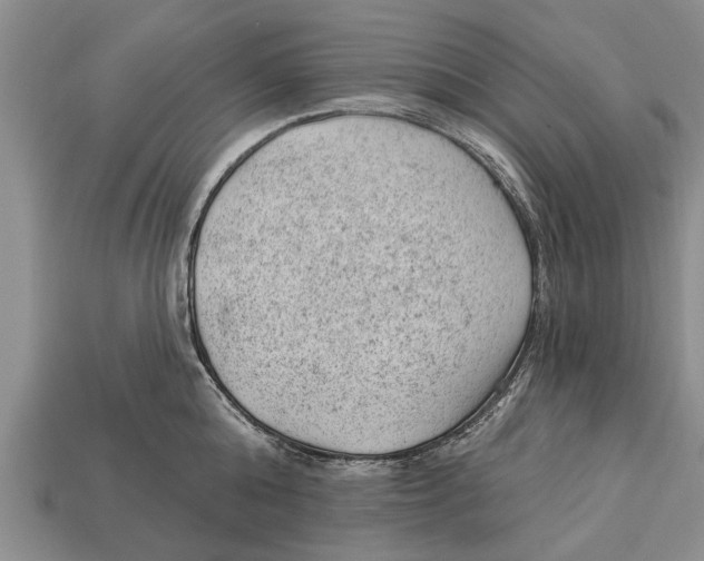 X0000112920808200909211051