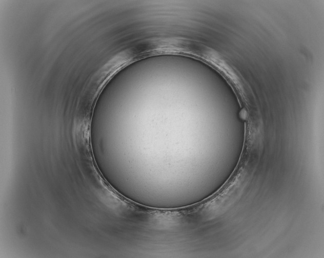 X0000112920809200909211051