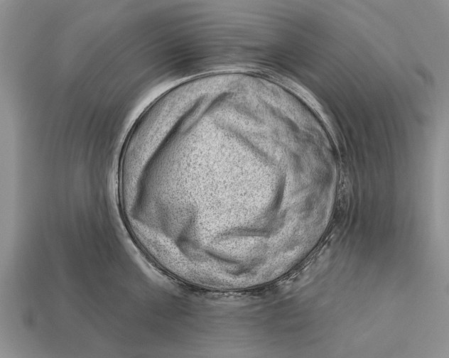 X0000112920811200909211051
