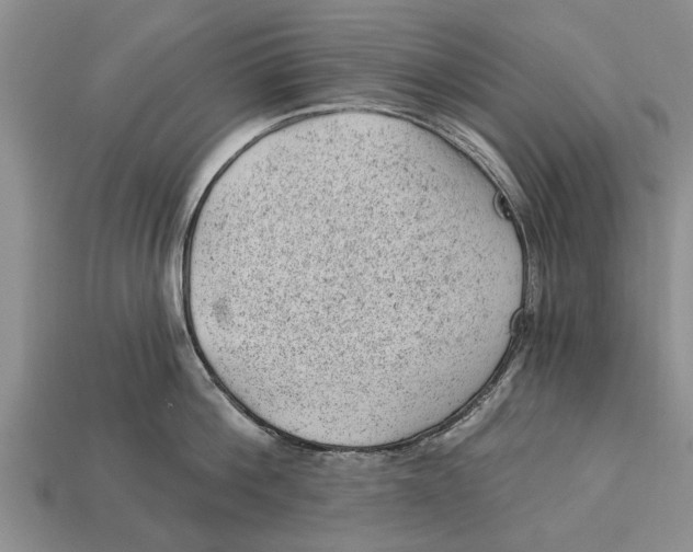 X0000112920812200909211051