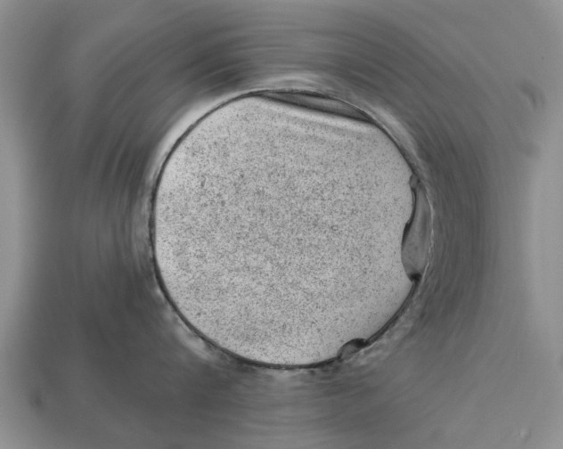 X0000112920816200909211051