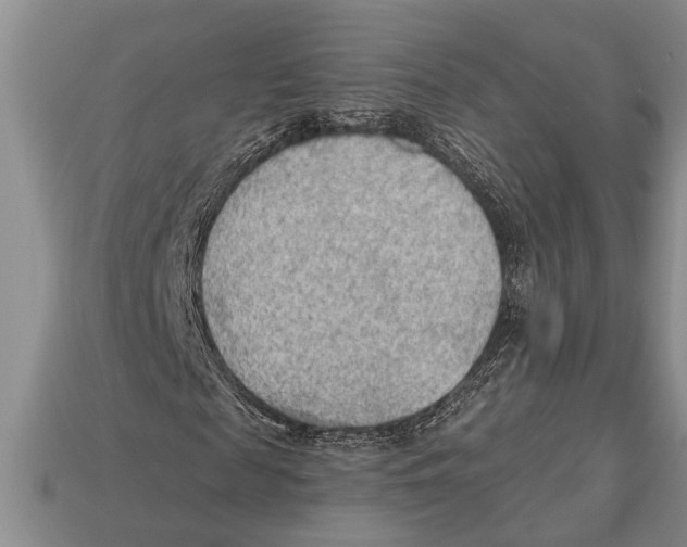 X0000112920817200909211051