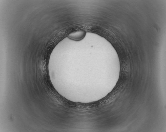 X0000112920818200909211051